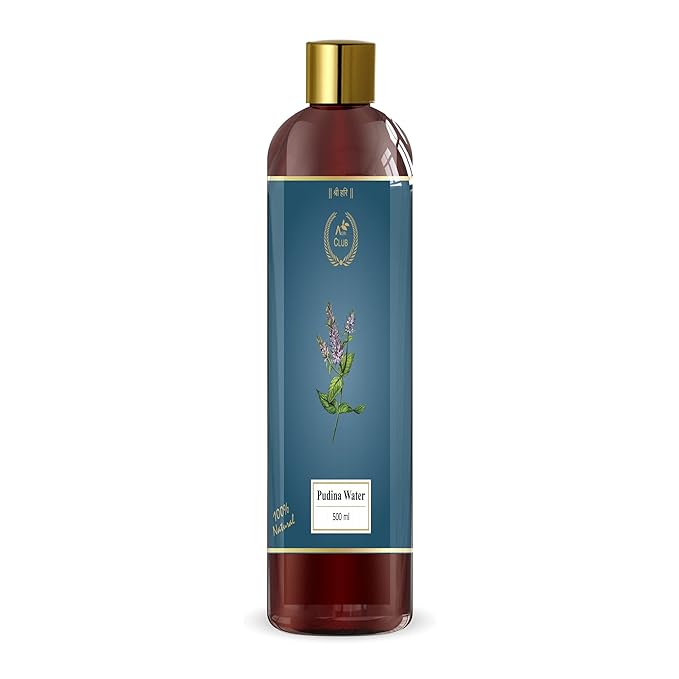 Agri Club Pudina Water - 500 ml Special