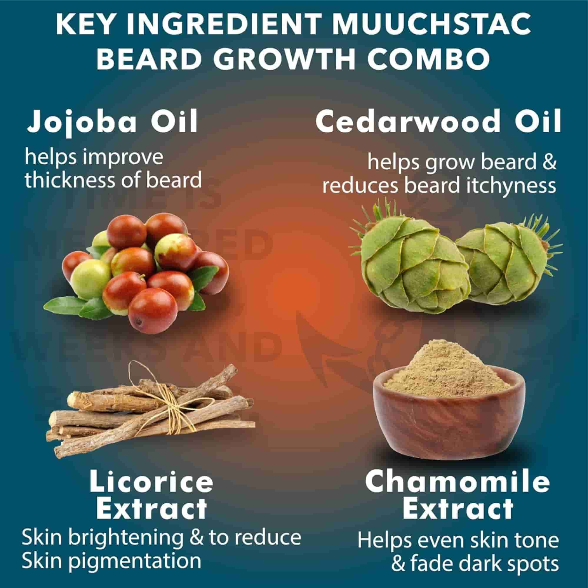 MuuchstacBeardGrowthOil_OceanFaceWashFeatures.jpg